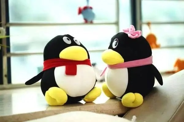 vivox9两个QQ然后1清除数据后，有个QQ不在了，怎么办？